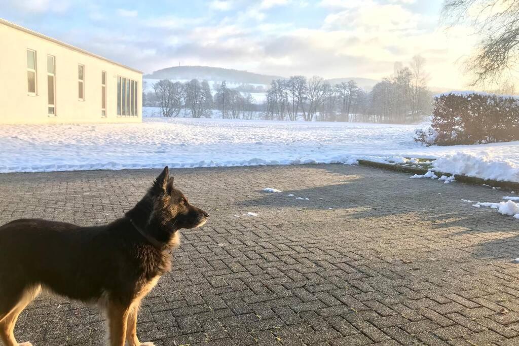 Ferienhaus Talblick Alpenrod Eksteriør billede